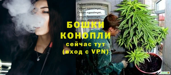 гидропоника Горняк