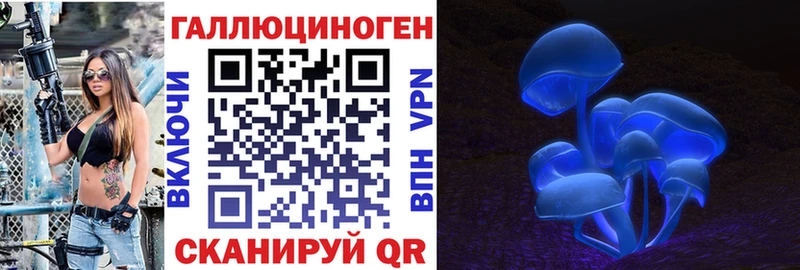 Псилоцибиновые грибы Cubensis  Дмитровск 